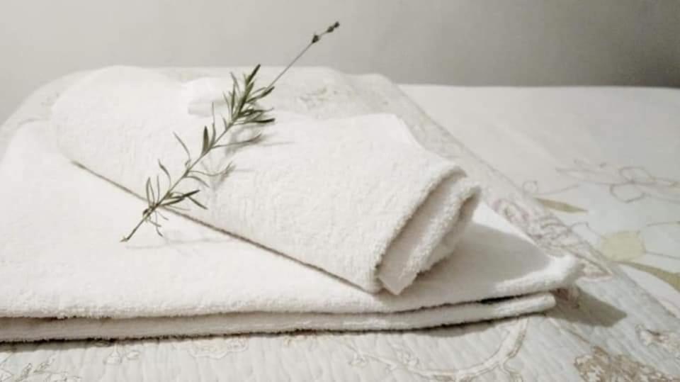 Aandrus Guesthouse Bloemfontein Luaran gambar